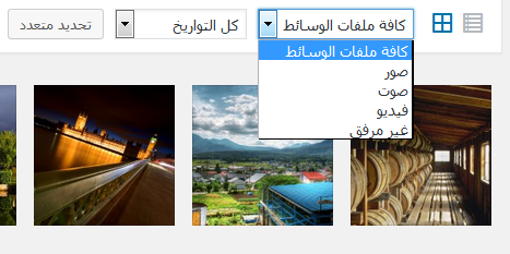 filter media by type